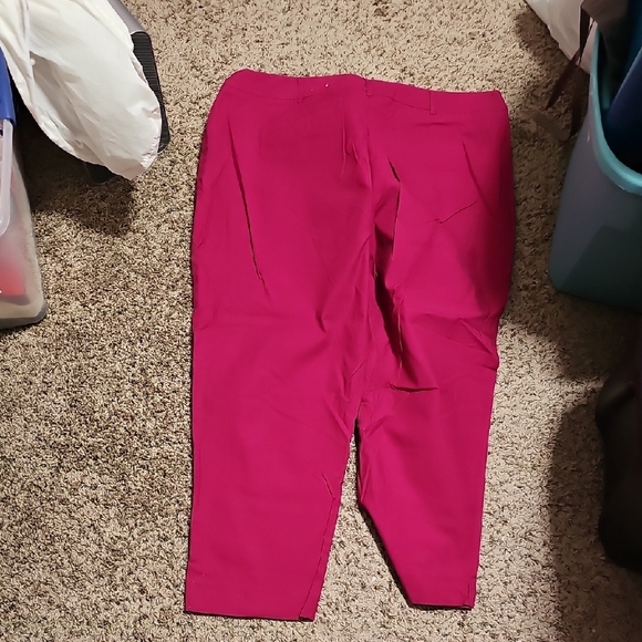 Vibrant Pink Pants. Plus Size 22w. - Picture 3 of 3